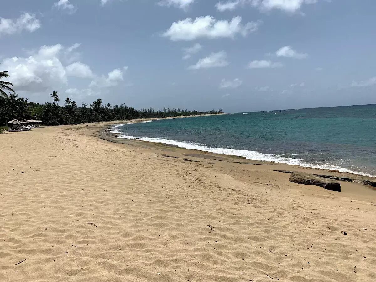 A sandy beach with gentle waves, a clear sky, and a line of palm trees in the background.