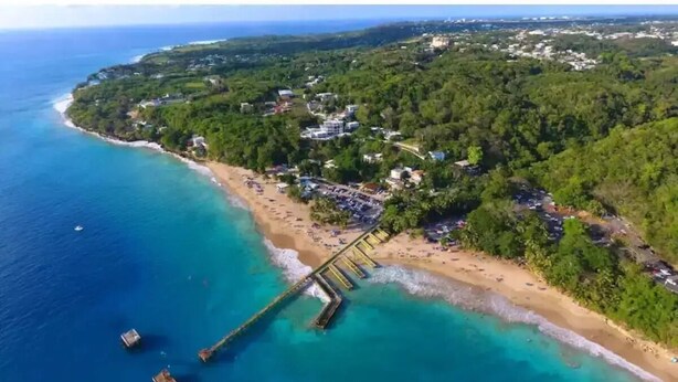 Vista aérea de una zona costera con playa, un muelle y vegetación circundante.
