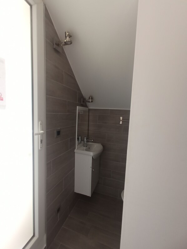 A small, modern bathroom with a shower, a sink, and a mirror.