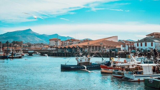 A coastal town with boats docked in the harbor, buildings with red roofs, and a mountain in the background.