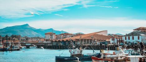 Marina