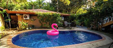 Outdoor pool, pool loungers