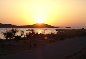 Room - Apartments Dvor - 20 m From Beach (Sveti Filip i Jakov)