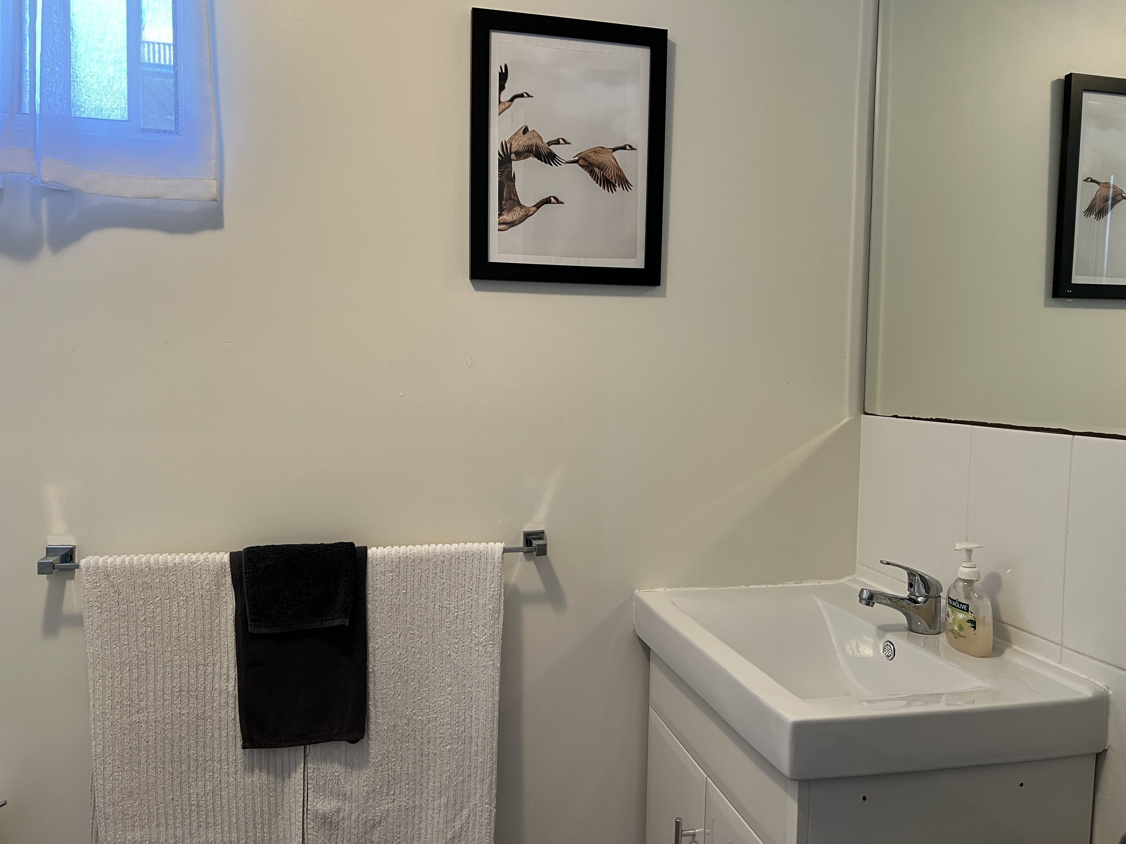 Doccia, asciugamani, sapone, carta igienica