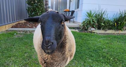 Cosey country cabin by the lake
Within 2 hours of Sydney