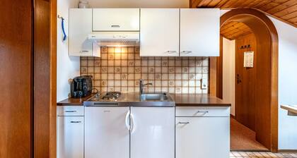 Cosy apartment for 4 guests with WIFI, TV, patio and pets allowed