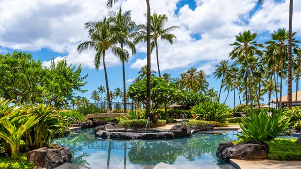 Un complexe hôtelier tropical doté d’une piscine entourée de palmiers et d’une végétation luxuriante.