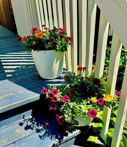 CRESCENT HEIGHTS MAJESTY