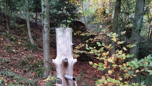 A rustic wooden water feature with a spout, surrounded by autumn foliage. - Apartment at Sulzbach (Sulzburg)