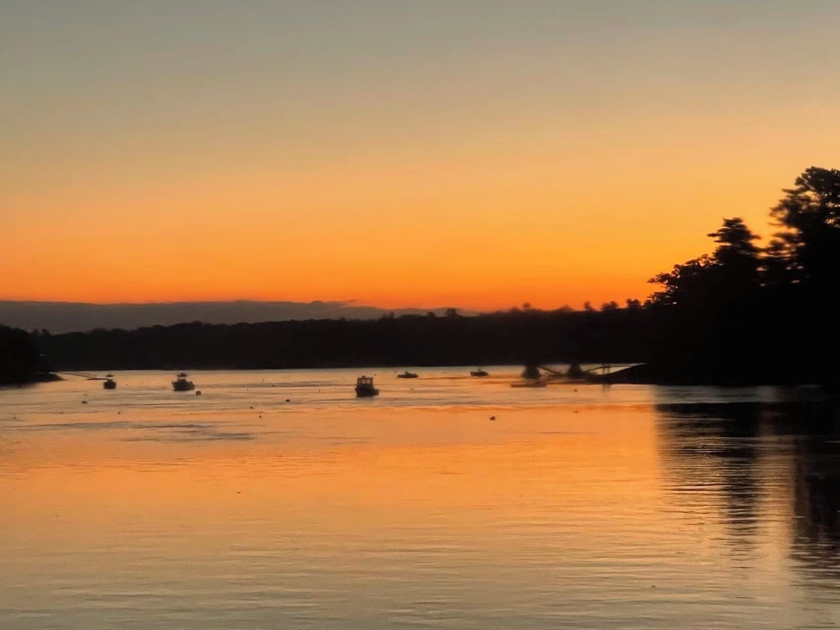 A calm body of water with several boats at sunset.