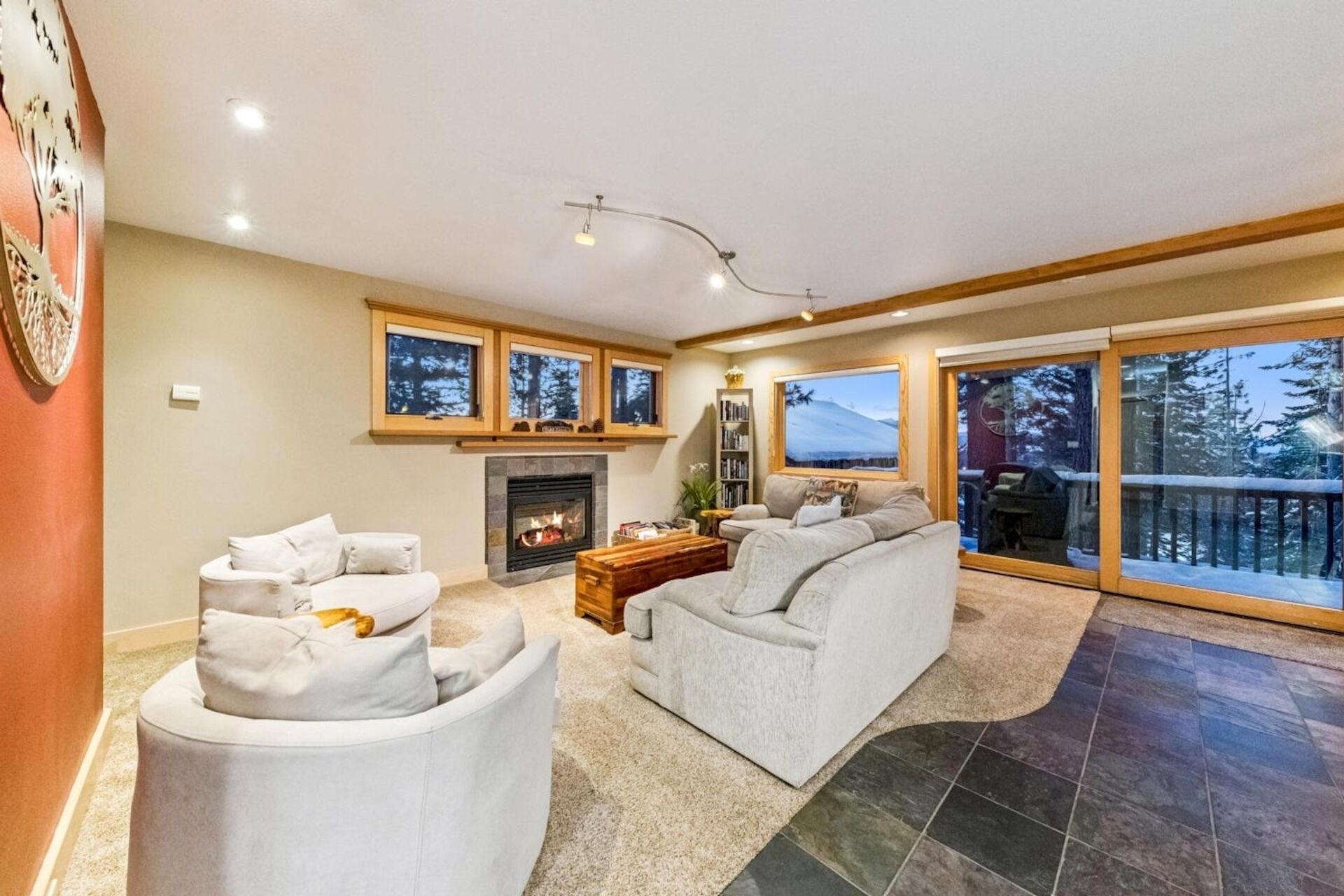 Smart TV, fireplace, DVD player, books