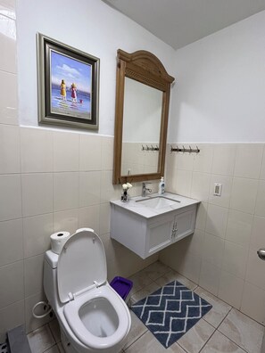 Hair dryer, towels, soap, toilet paper