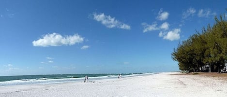 Sun loungers, beach towels