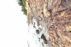 Miscellaneous - Yongxing Theme Holiday Hostel (Huidong)