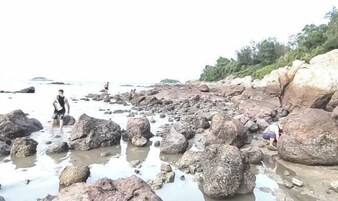 海灘