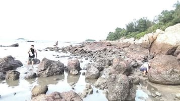 Playa