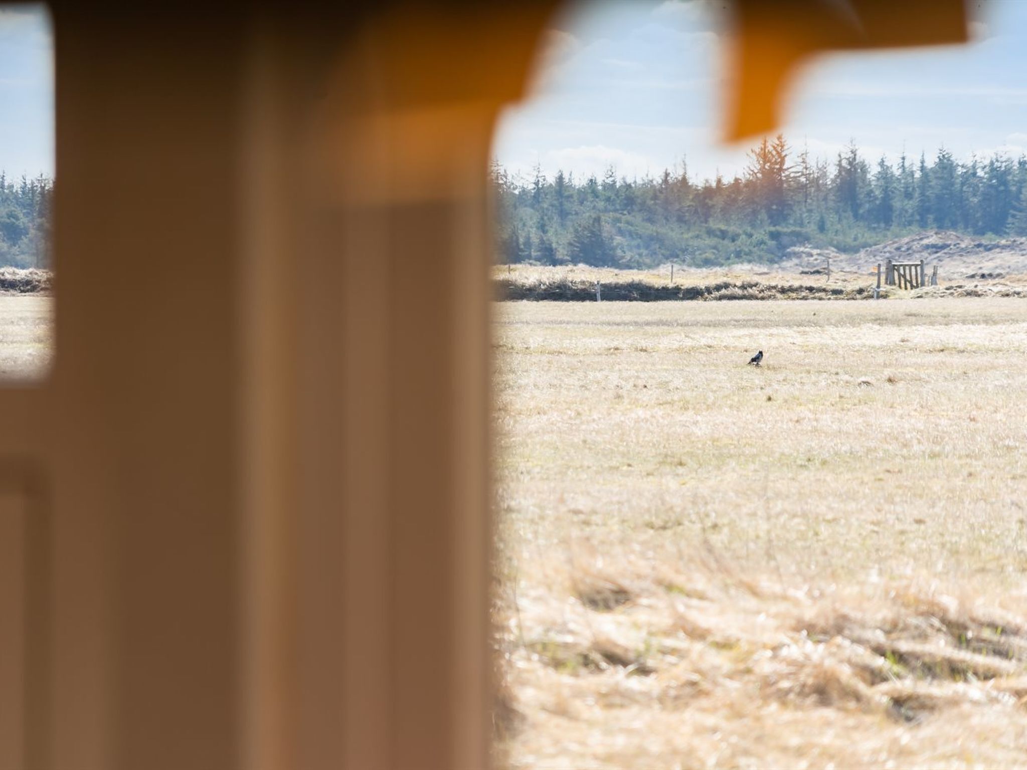 A view through a window with a blurred foreground, revealing a field with a fence and trees in the distance.