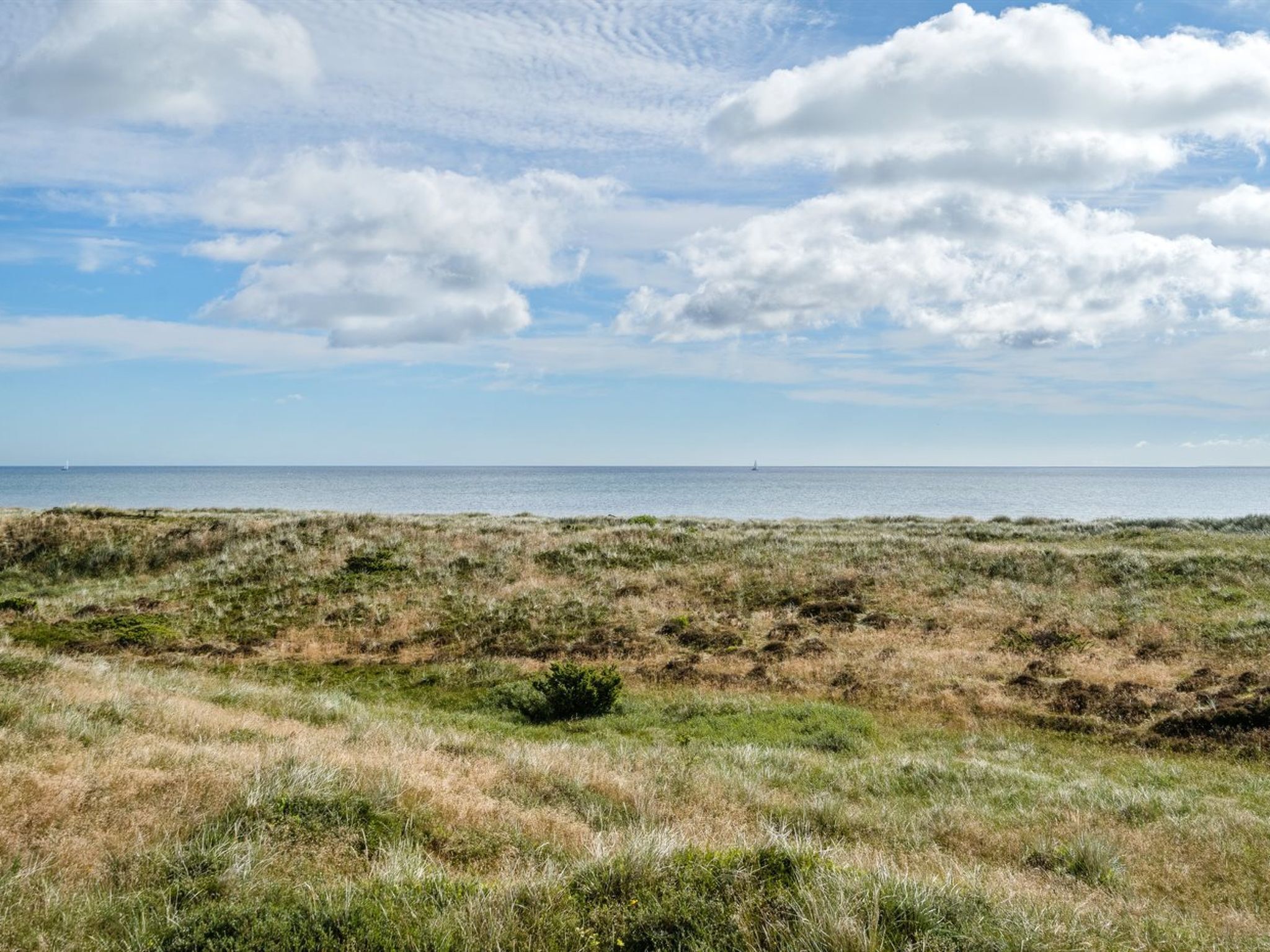 Un paysage côtier avec un premier plan herbeux et une vue sur la mer sous un ciel partiellement nuageux.