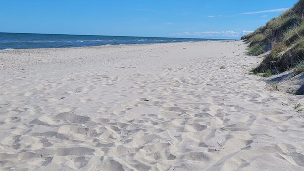A sandy beach with dunes and a clear blue sky.