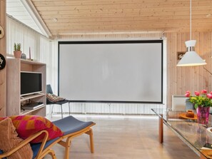 Télévision, cheminée, lecteur de DVD