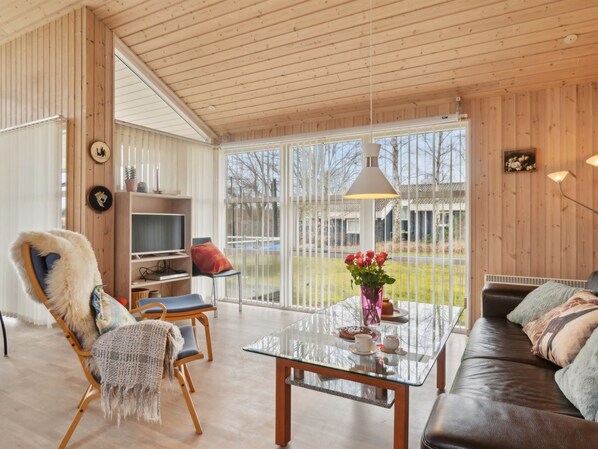 TV, fireplace, DVD player