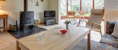 TV, fireplace, DVD player