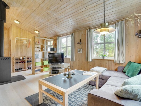 Fernseher, Kamin