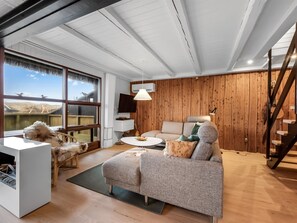 Tv, eldstad och dvd-spelare