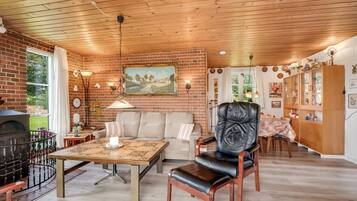 TV, fireplace, DVD player