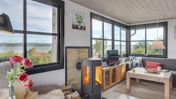 Télévision, cheminée