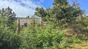 A rustic stone building surrounded by dense greenery and tall trees. - "Ilva" - 300m to the fjord by Interhome (Ulfborg)