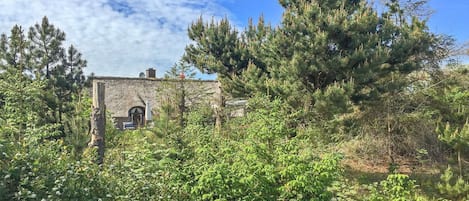 المنطقة المحيطة بالمنشأة