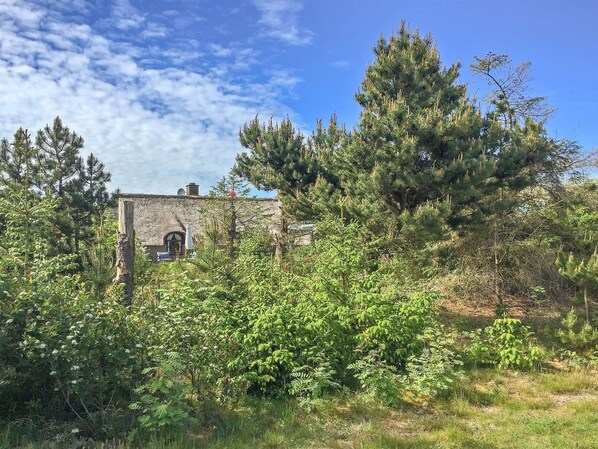 Overnatningsstedets område