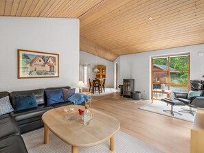 TV, fireplace, DVD player