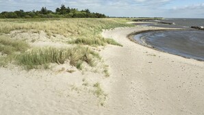 En sandstrand med gräsklädda sanddyner och ett lugnt hav.