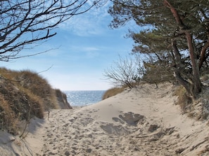 Un camino arenoso junto a la playa con vegetación escasa y una vista despejada del océano.