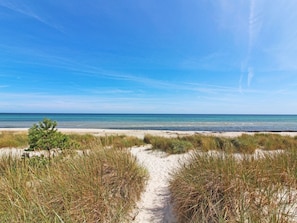 A beach path leading to the ocean with clear skies.