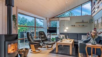 TV, fireplace, DVD player