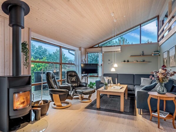 TV, fireplace, DVD player