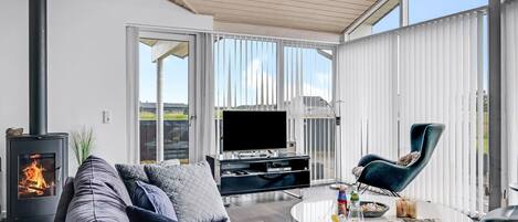 TV, fireplace, DVD player