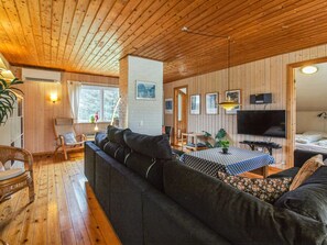 Fernseher, Kamin, DVD-Player