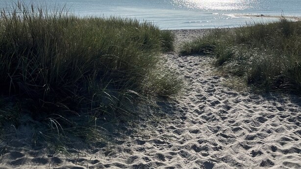 Een zandpad langs het strand, met gras aan weerszijden.