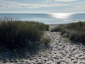 Een zandpad langs het strand, met gras aan weerszijden.