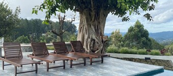 Benito Bungalow by The Serendipity Collection