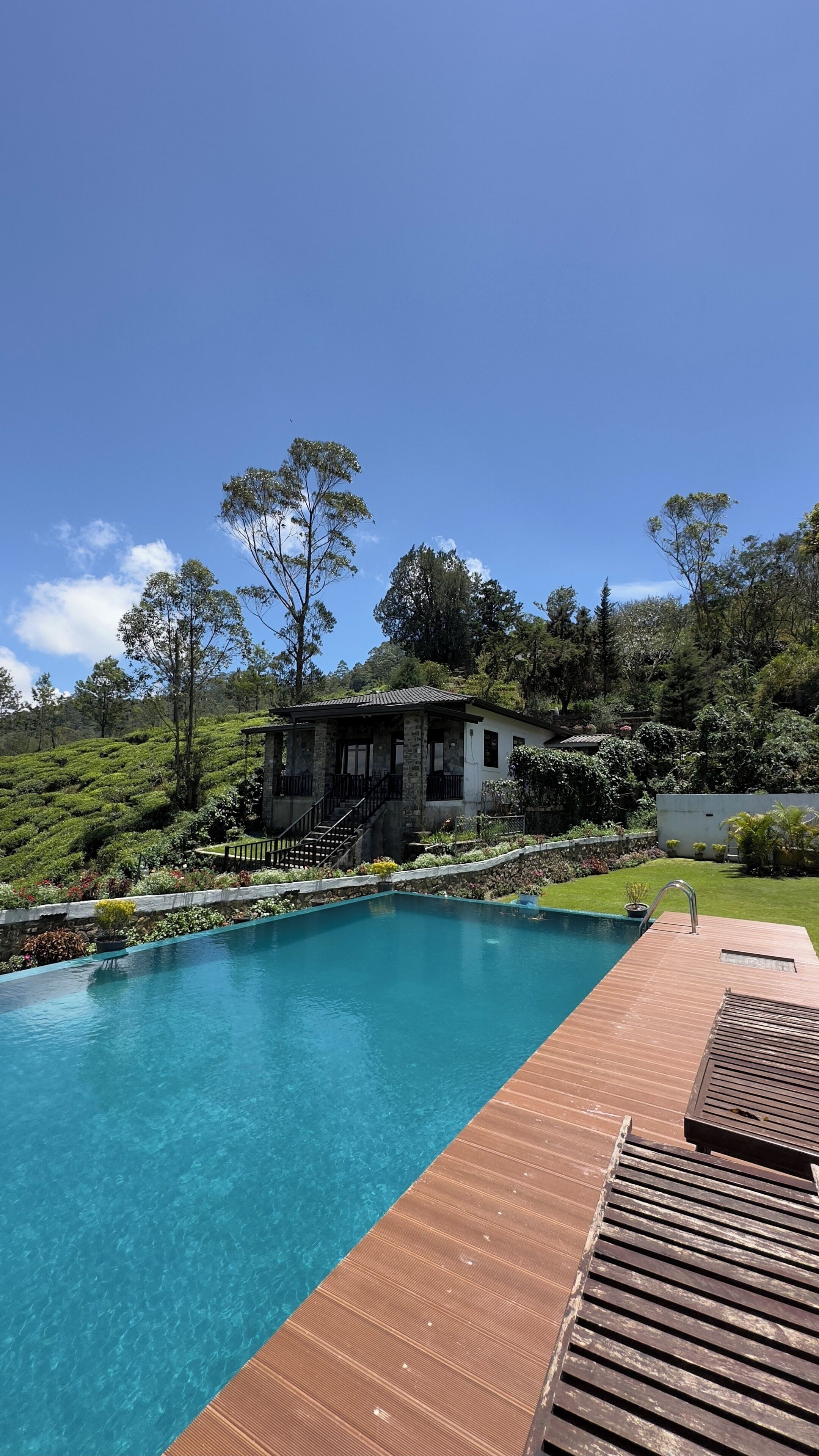 A swimming pool with a wooden deck, surrounded by lush greenery and a stone building.