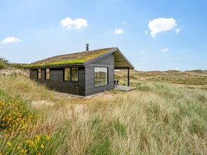 Ett modernt hus med ett sluttande tak och ett grönt tak, omgivet av en naturlig landskap.