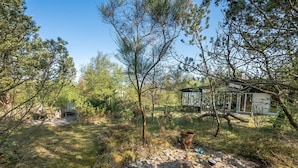 Un espace extérieur naturel avec un sentier de terre, des arbres et une petite construction.