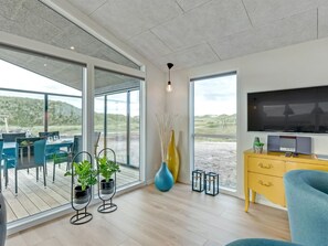 Televisión, chimenea y reproductor de DVD 