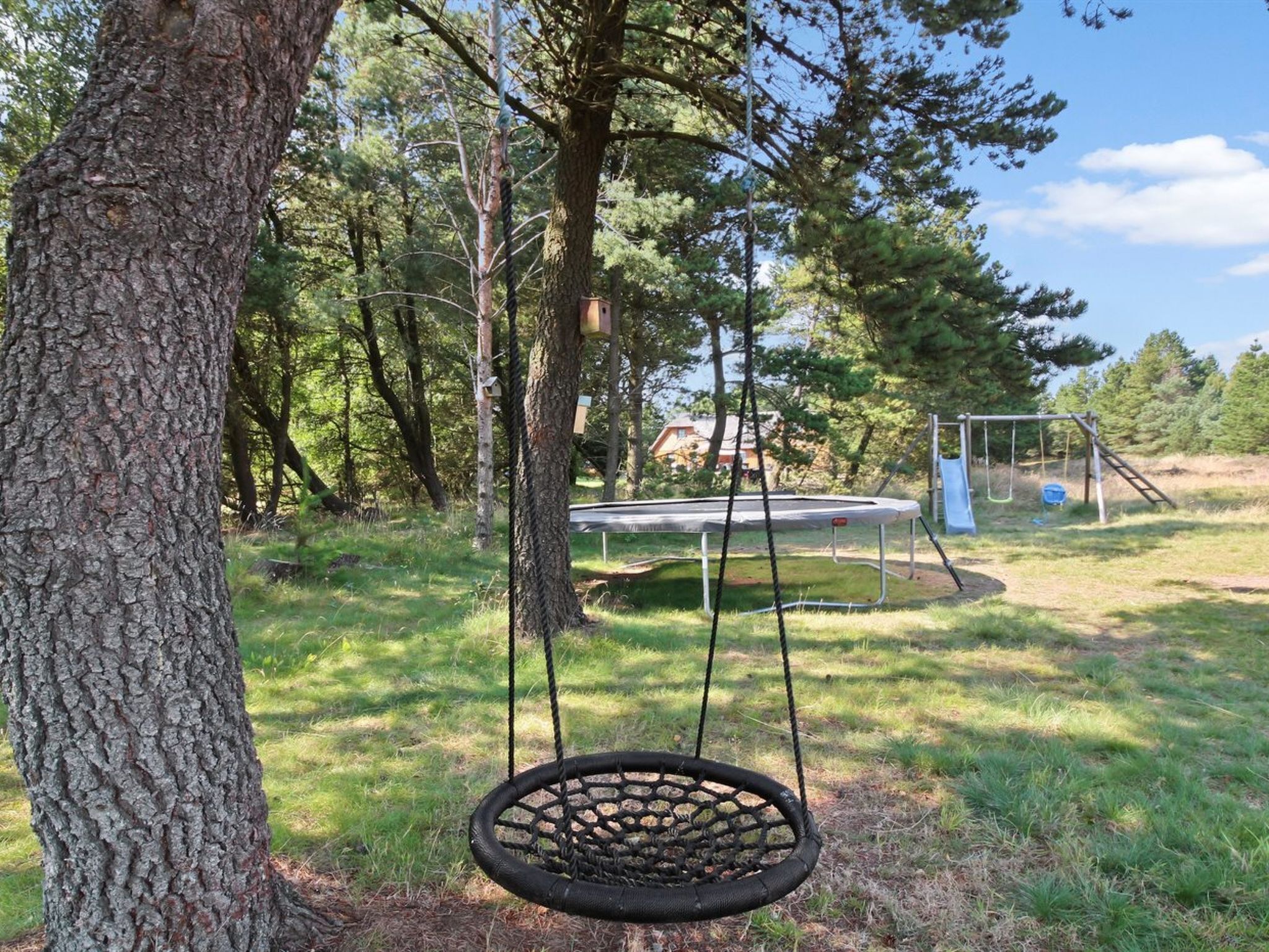 Een schommel met een bandenschommel en een trampolaan in een bebost gebied.