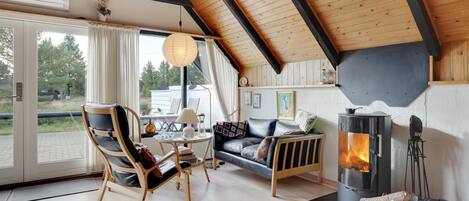 تلفزيون، مدفأة، مشغل دي في دي